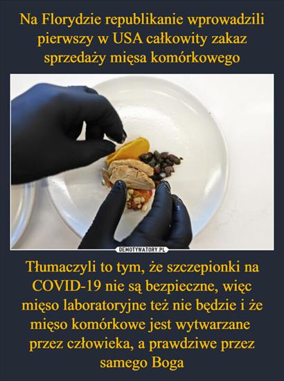 TO MUSISZ WIEDZIEĆ - Na Florydzie Pierwszy Zakaz Sprzedaży Mięsa Komórkowego.jpg