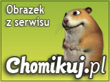 Cienie - Cień.jpg