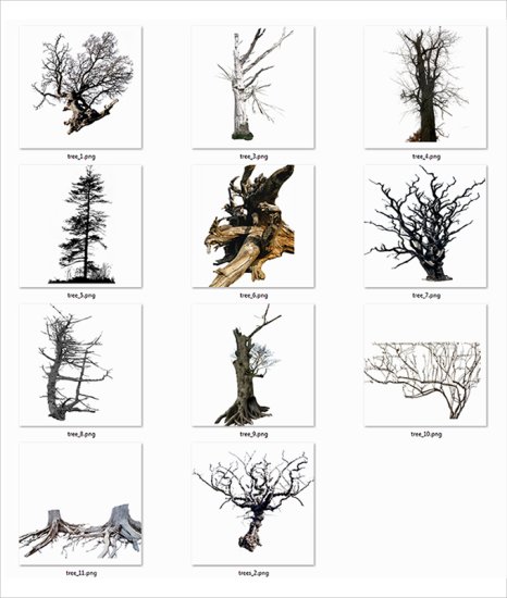 Trees - Rons_Trees_Collage.png